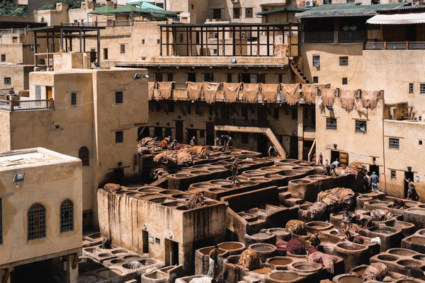 Gerben in Fez – Slimpuro